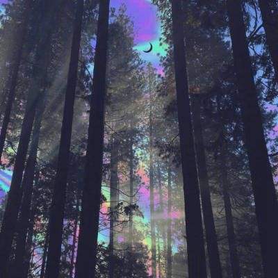 pg电子娱乐·(中国)游戏平台app下载